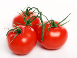 עגבניה עממית